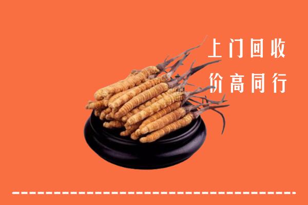 高价求购：吉安井冈山市回收散虫草
