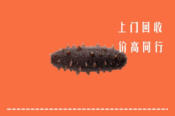 高价求购：吉安井冈山市回收海参